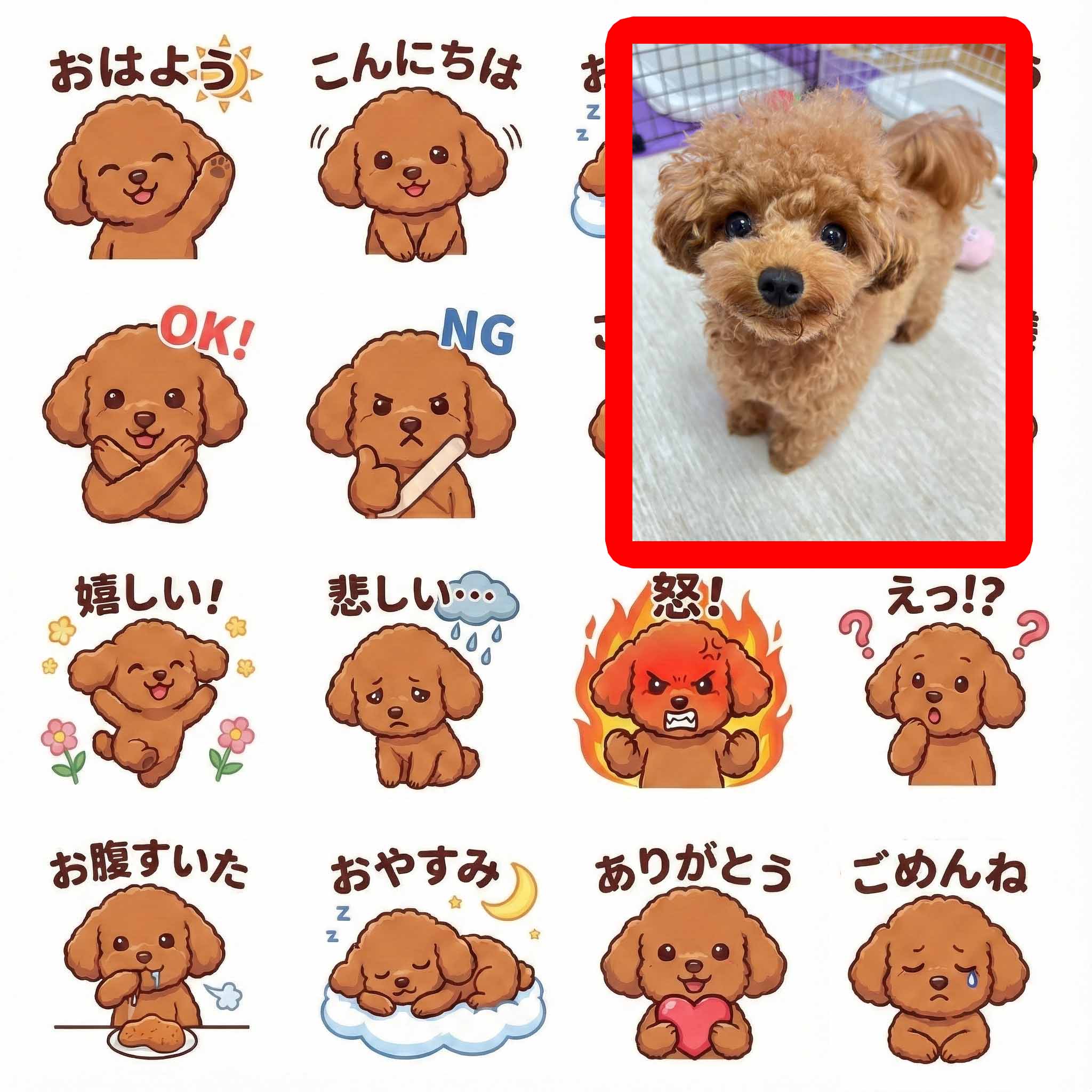愛犬スタンプ実績
