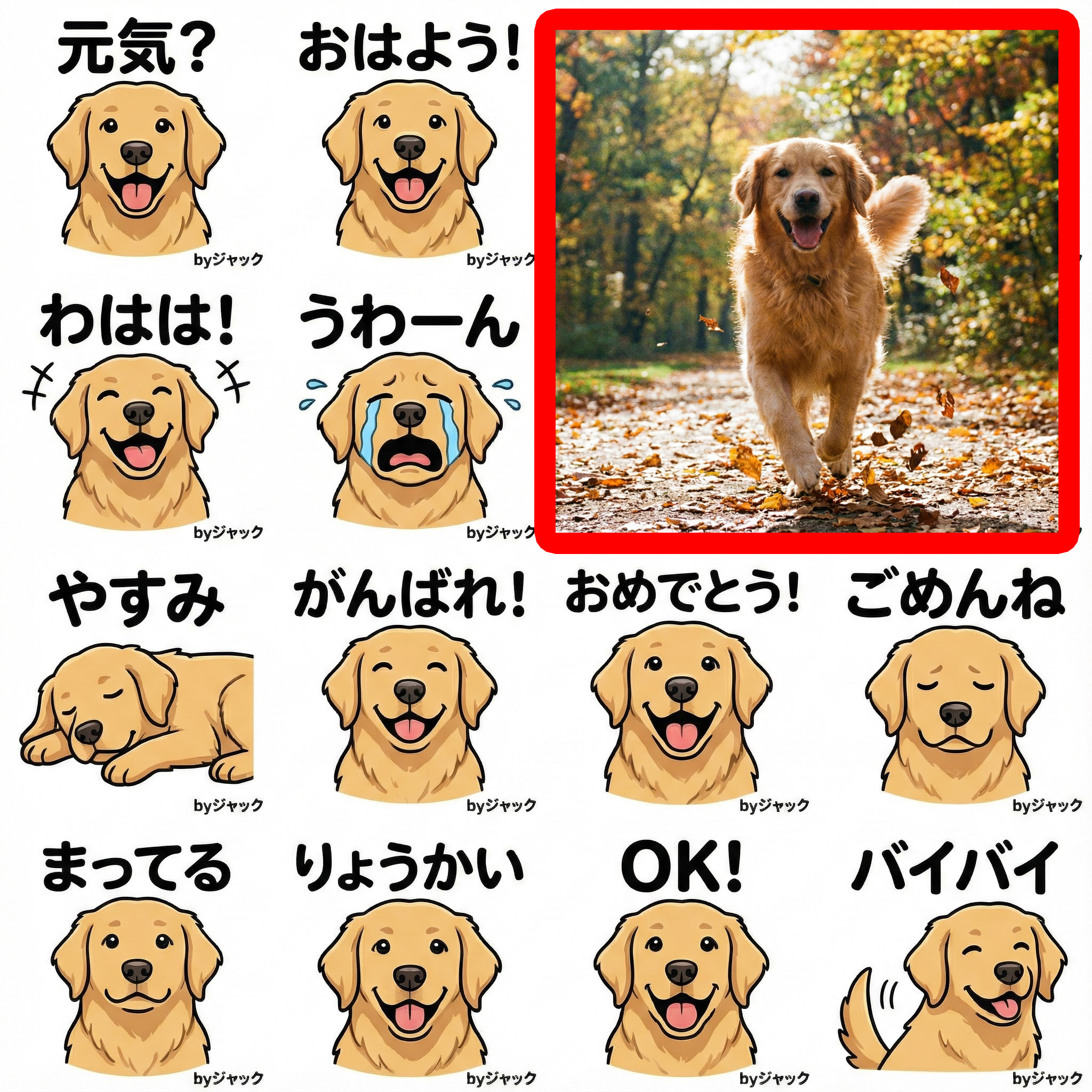 ゴールデン制作事例